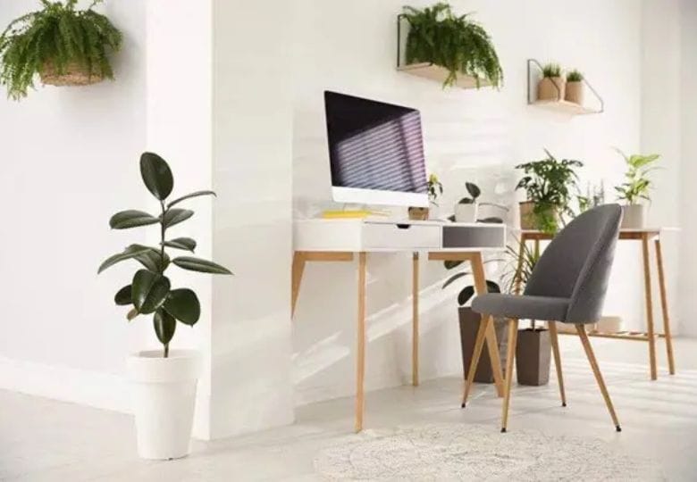 Hướng đặt bàn làm việc tuổi Mão